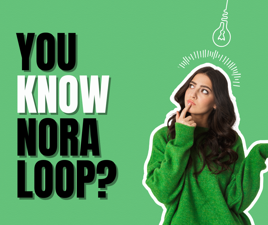 Noraloop: Premium PHP Scripts, Laravel Tools & WordPress Plugins